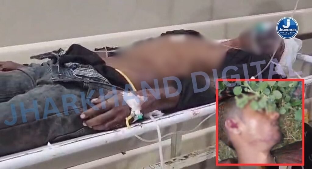 विसर्जन जुलूस के विवाद ने लिया खूनी रूप, दो पक्षों में जमकर मारपीट; 3 गंभीर