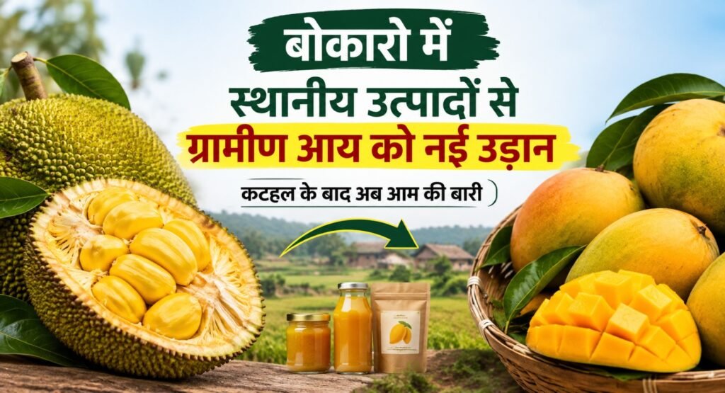 बोकारो में ODOP के तहत पहले कटहल ने बनाई पहचान…अब आम से गांवों की कमाई बढ़ाने की तैयारी