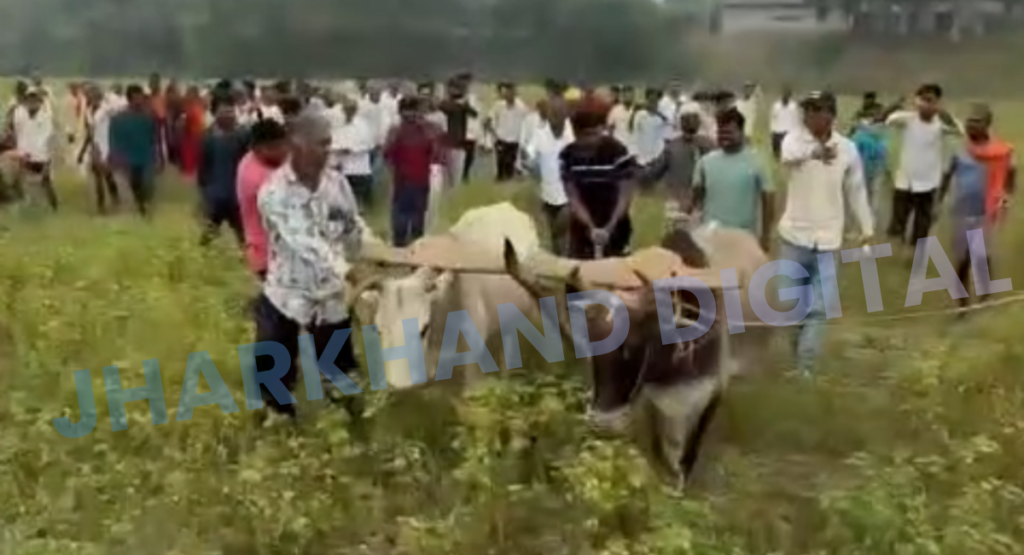 12 साल बाद विवादित खेत में चला हल, बरछाबांध में खत्म हुआ जमीन का झगड़ा…फिर मिले बिछड़े परिवार